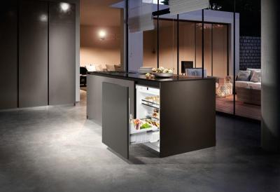 24" Liebherr Integrable Under-worktop Fridge - UPR513