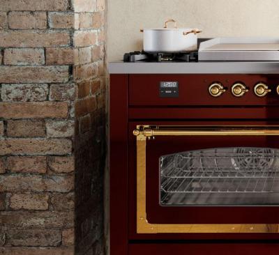 40" ILVE Nostalgie II Dual Fuel Natural Gas Freestanding Range in Matte Graphite with Brass Trim - UPD40FNMP/MGG NG